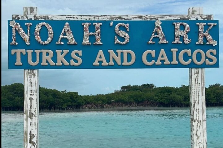 Noahs Ark Catamaran Trip