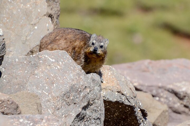 Sani Pass Private Day Tour