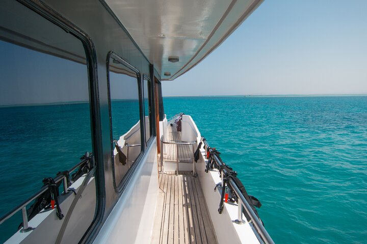 Shaab Samadai, Snorkeling Adventure & Coral Reef at Marsa Alam