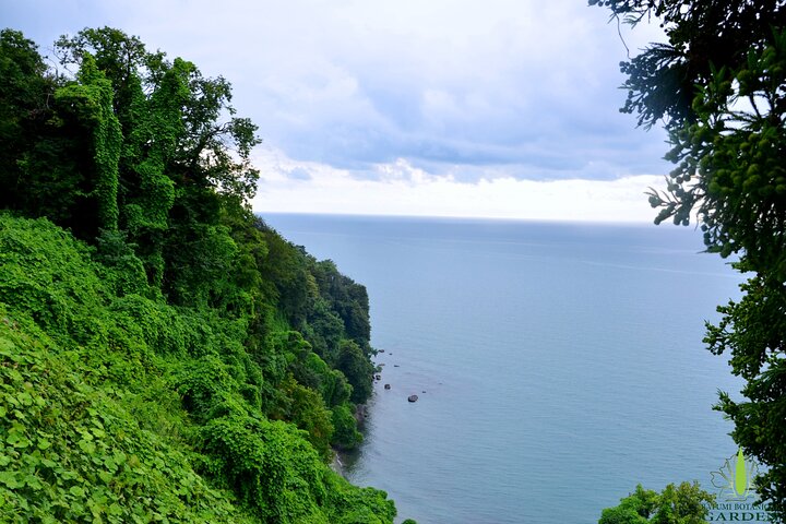 Discover the Georgian Amazon – Tour from Batumi