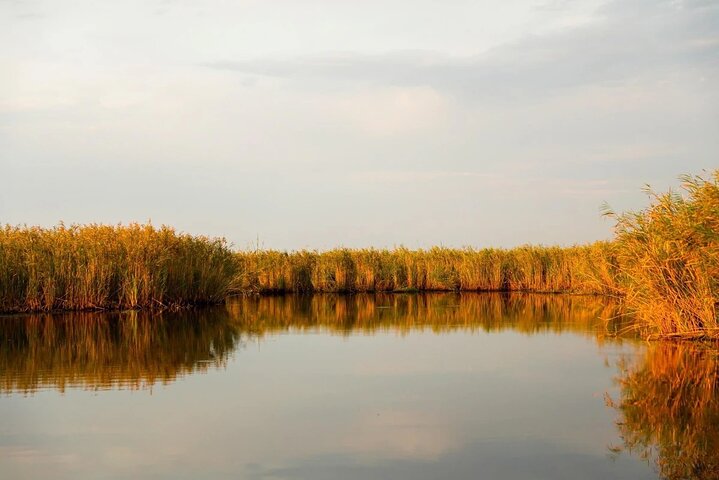 Discover the Georgian Amazon – Tour from Batumi