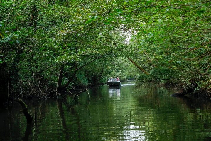Discover the Georgian Amazon – Tour from Batumi