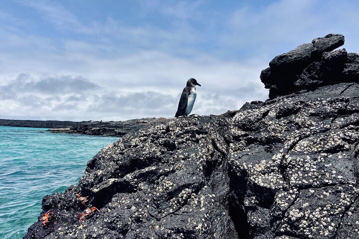 4 Day Isabela Island Adventure Tour: Kayak, Snorkeling & Wildlife