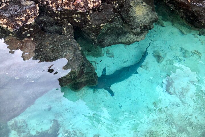 4 Day Isabela Island Adventure Tour: Kayak, Snorkeling & Wildlife