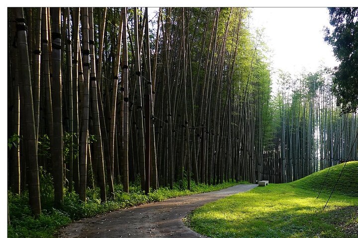 Discover the Georgian Amazon – Tour from Batumi