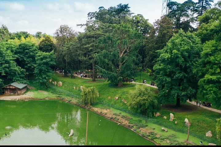 Discover the Georgian Amazon – Tour from Batumi