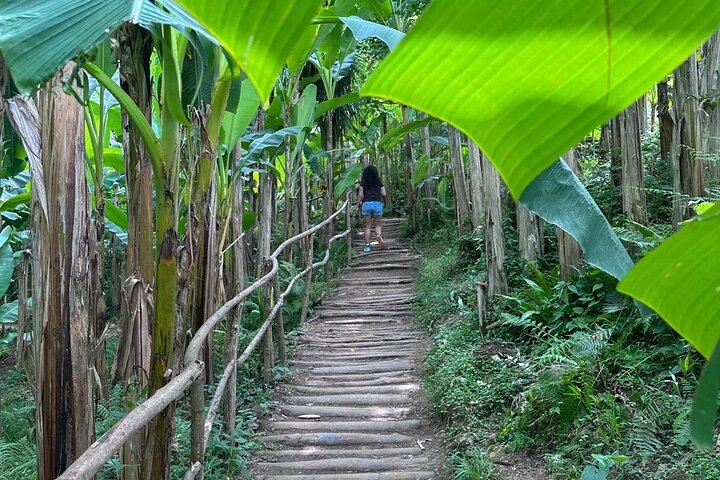 Discover the Georgian Amazon – Tour from Batumi