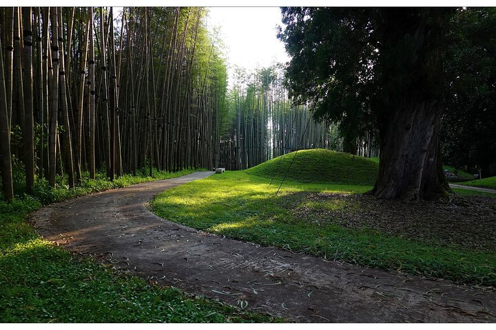 Discover the Georgian Amazon – Tour from Batumi