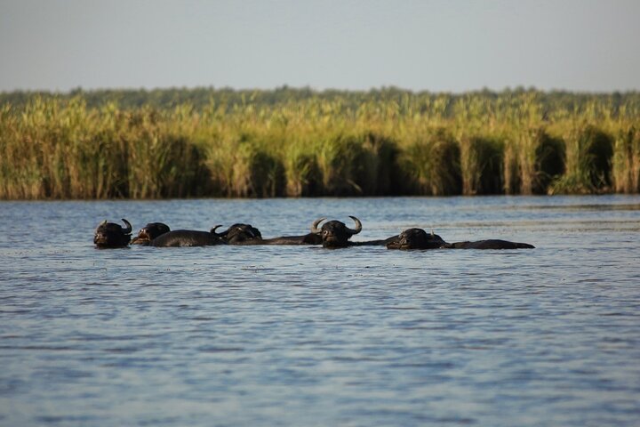 Discover the Georgian Amazon – Tour from Batumi