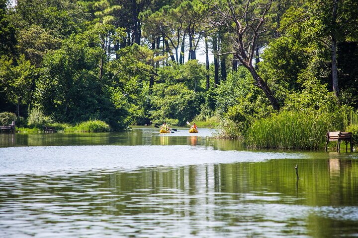 Discover the Georgian Amazon – Tour from Batumi