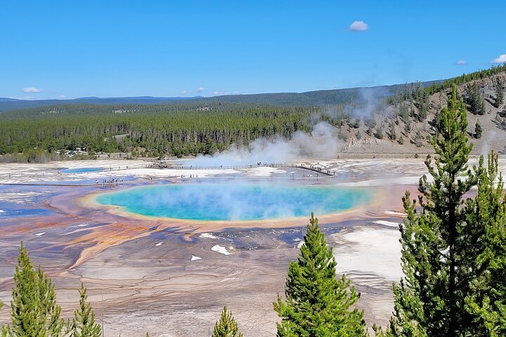 Guided Yellowstone Tour from Big Sky and West Yellowstone