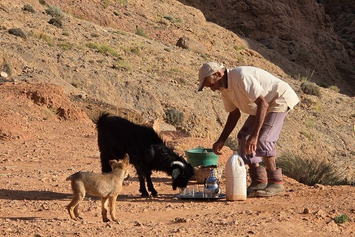 Hike & Overnight With Nomads Families
