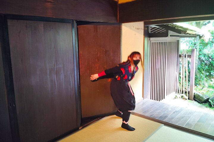Iga: Discover Ninja Secrets at Ueno Castle & Ninja Museum
