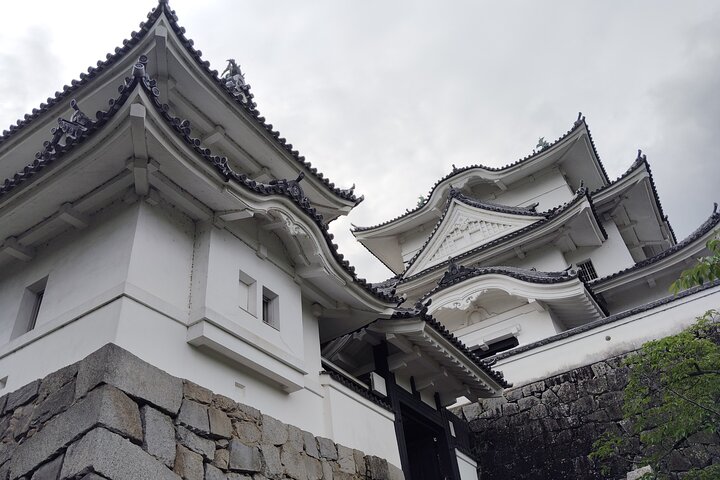 Iga: Discover Ninja Secrets at Ueno Castle & Ninja Museum