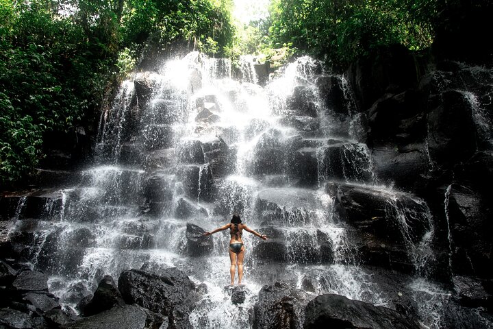 All-Inclusive Ubud Customized Private Tour