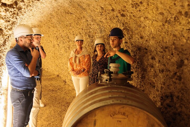 GroMonte: Cave, Wine and History in Montefiore dell'Aso