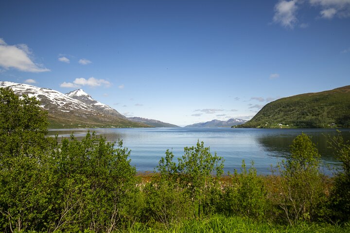 Tromsø: Fjord Adventure Tour with Wildlife and Lunch