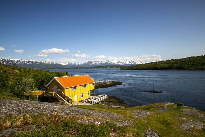Tromsø: Fjord Adventure Tour with Wildlife and Lunch