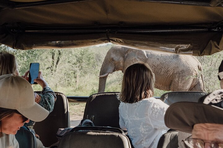 Safari Drive Hluhluwe Imfolozi Park South Africa