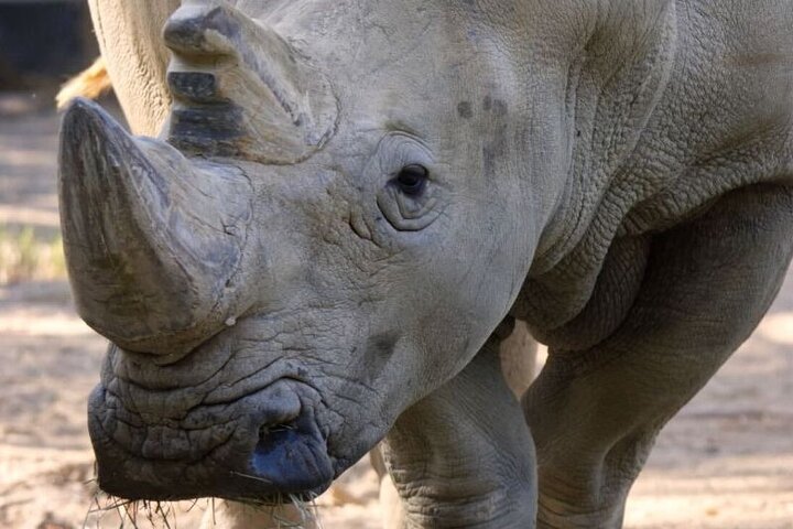 Sacramento Zoo General Admission Ticket