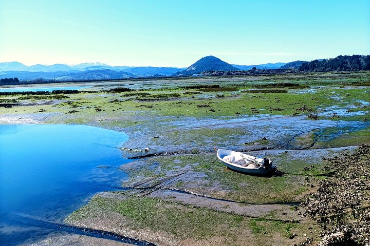 Tour to the Anchovies Factory and Santoña Marshes with Tasting