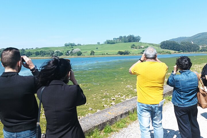 Tour to the Anchovies Factory and Santoña Marshes with Tasting