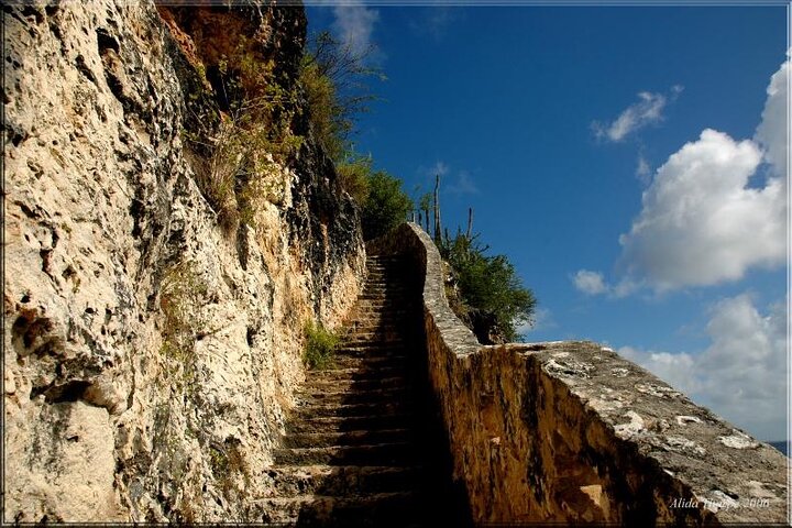 Small-Group Guided North & South Tour of Bonaire with Pick Up
