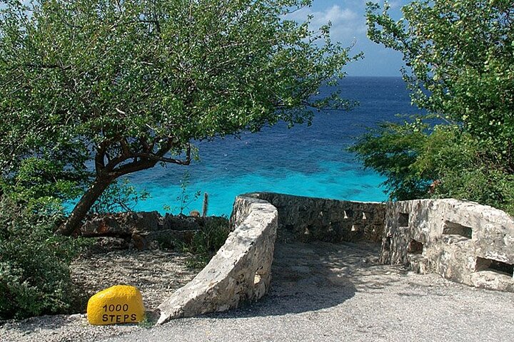 Small-Group Guided North & South Tour of Bonaire with Pick Up
