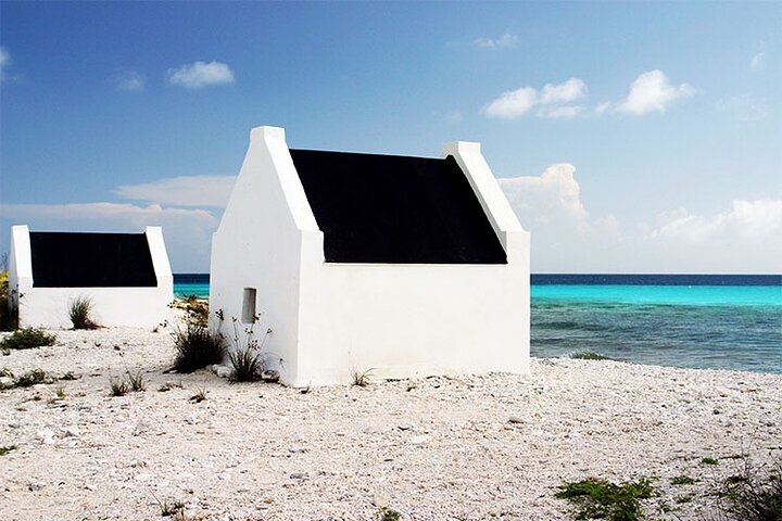 Small-Group Guided North & South Tour of Bonaire with Pick Up