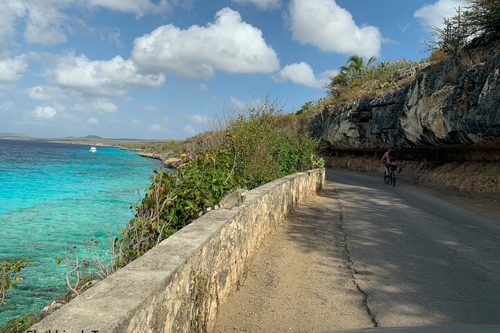 Small-Group Guided North & South Tour of Bonaire with Pick Up