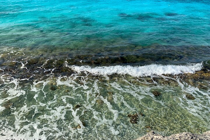 Small-Group Guided North & South Tour of Bonaire with Pick Up