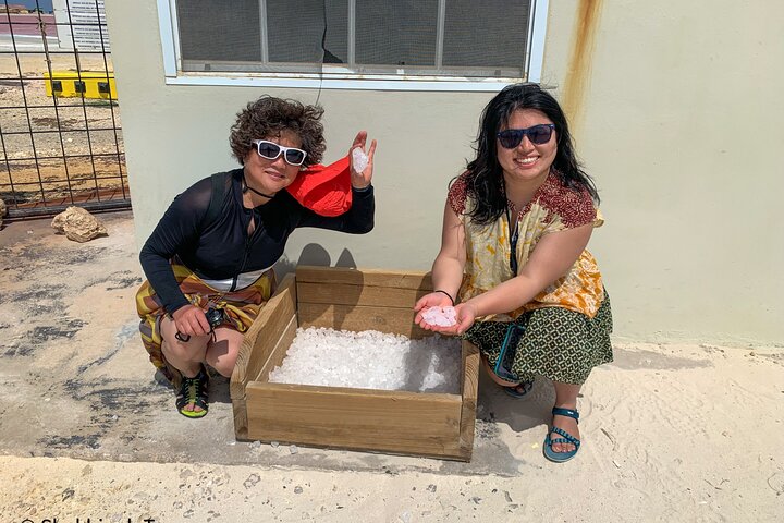 Small-Group Guided North & South Tour of Bonaire with Pick Up