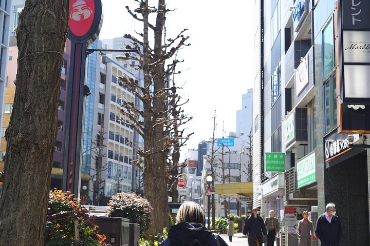 Hidden Tokyo Architectural Tour