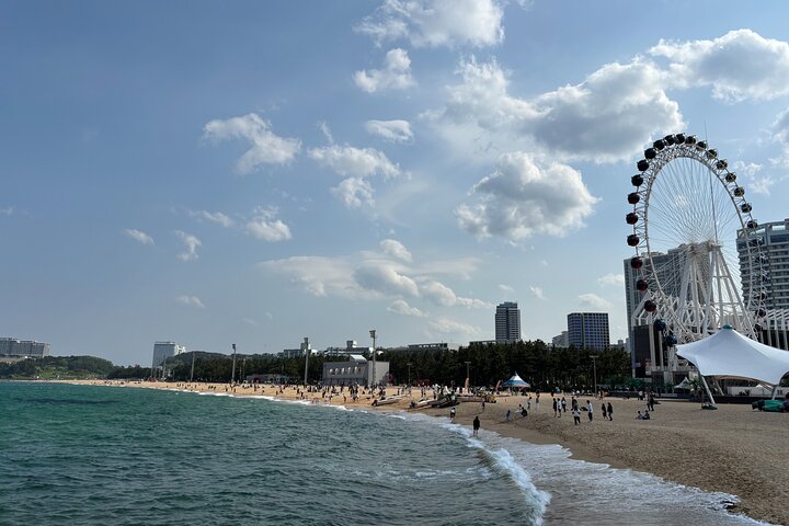 Sokcho Gourmet Tour