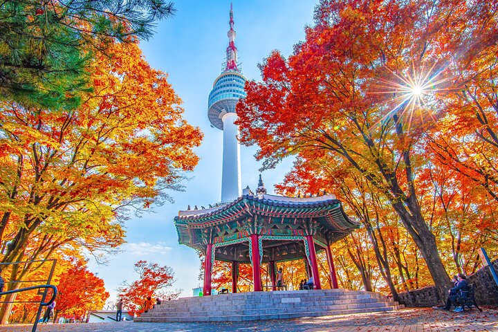 Flexible Layover Private Guided Tour from Incheon
