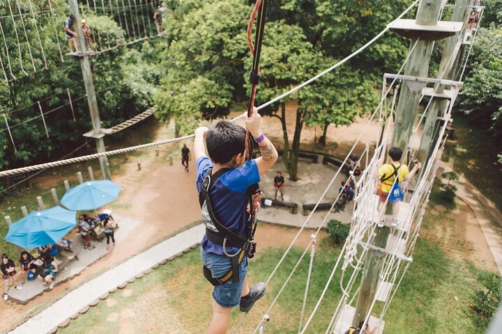 MegaZip Adventure Ride Jungle Beach & Sea Experience |Singapore