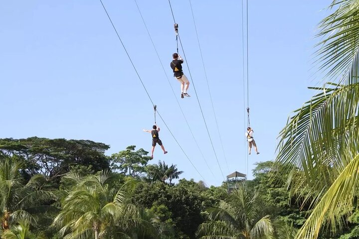 MegaZip Adventure Ride Jungle Beach & Sea Experience |Singapore
