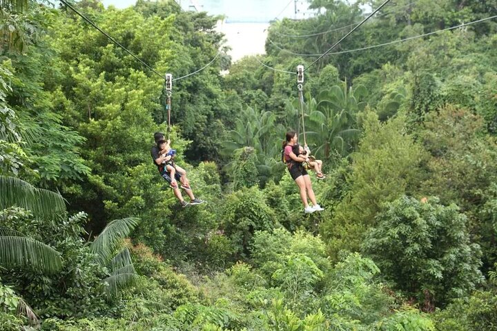 MegaZip Adventure Ride Jungle Beach & Sea Experience |Singapore