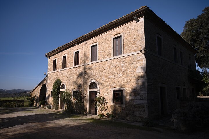 Truffle Hunting, Cooking Class & Gourmet Lunch in Siena, Tuscany