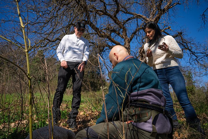 Truffle Hunting, Cooking Class & Gourmet Lunch in Siena, Tuscany