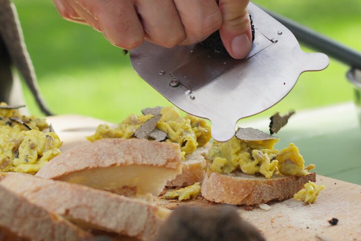 Truffle Hunting, Cooking Class & Gourmet Lunch in Siena, Tuscany