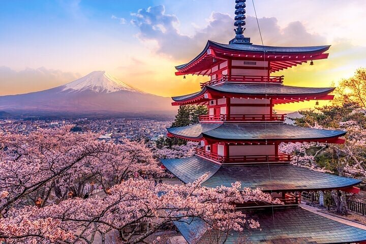 Mount Fuji Private Tour With English Guide Fully Customizable