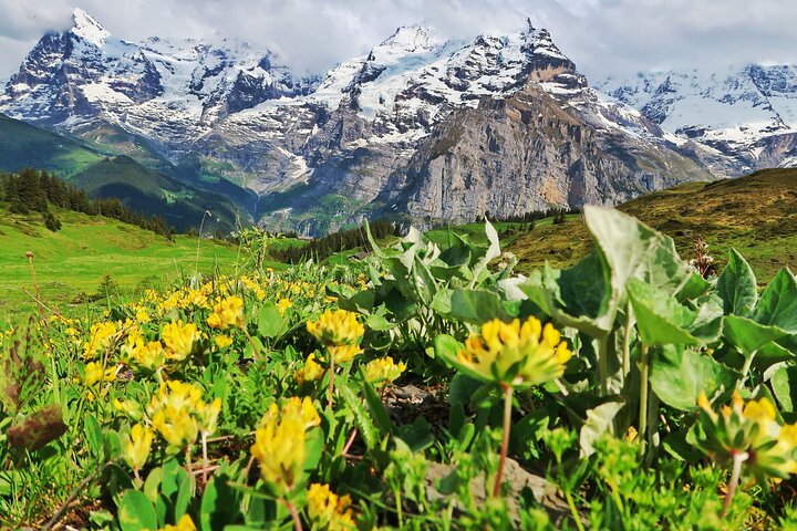 Hike Lauterbrunnen-Murren including Trummelbach Waterfalls Visit