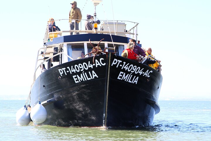 Cascais Coastal Secrets 90 Minute Cruise with Free Wine and Beer