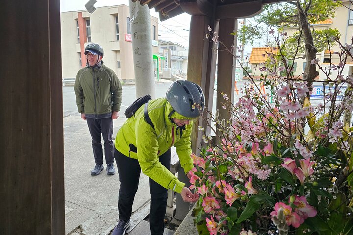 Mount Fuji Scenic EBike Tour for Cruise Travelers