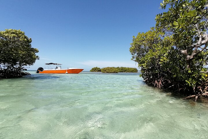 Boat Tour with Lunch in the Water in Guadeloupe Lagoon