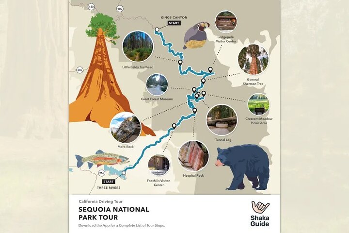 Sequoia and Kings Canyon Audio Tour Self Guide National Park Tour