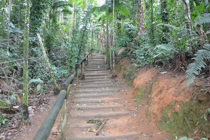 Jeep Tour Adventure: Explore Paraty and the Atlantic Forest