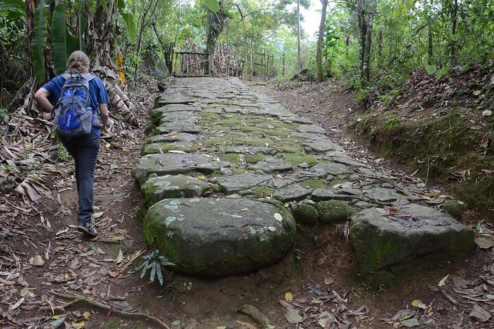 Jeep Tour Adventure: Explore Paraty and the Atlantic Forest