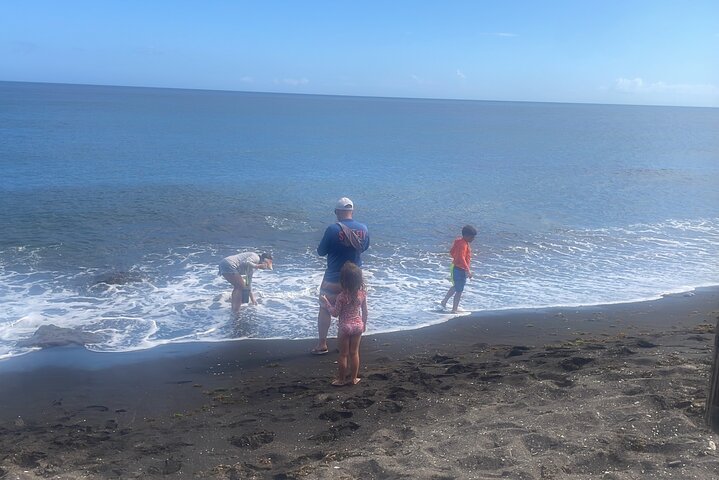 Ken's Beach Hopping Excursion